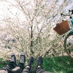 Photo by Alisa Anton on Unsplash